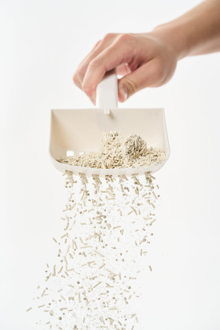 Why plant-based cat litter doesn't create dust clouds