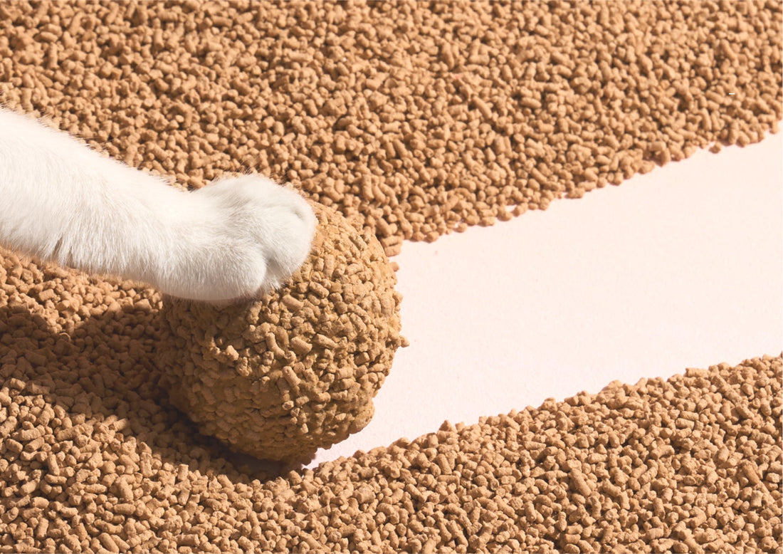 How plant starch creates faster, cleaner clumps
