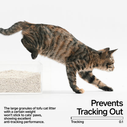 Cat walking with Pidan Tofu Cat Litter – minimal tracking score 0.1